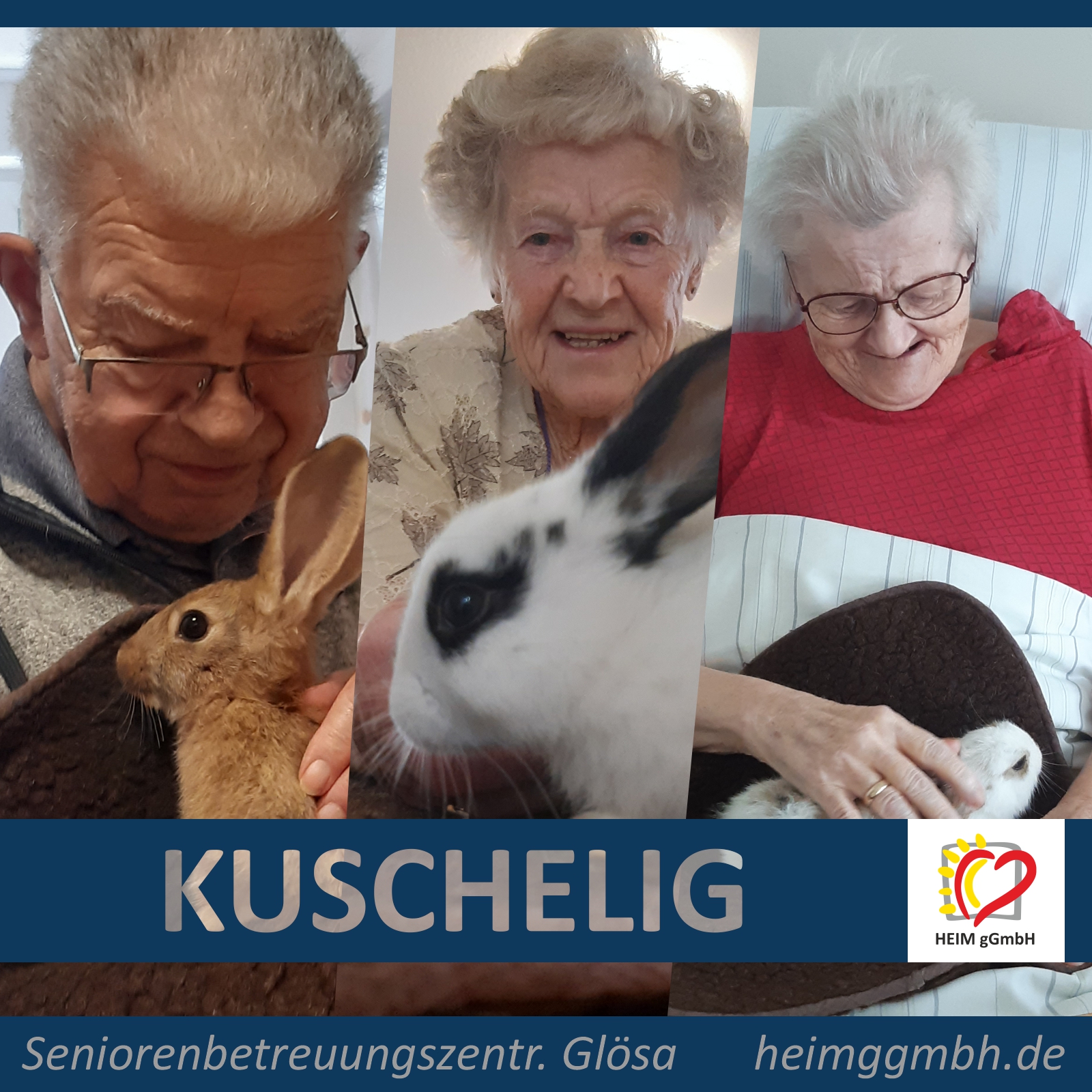 Kuscheln und streicheln mit Kaninchen und Häschen im Seniorenbetreuungszentrum Glösa der HEIM gemeinnützige GmbH
