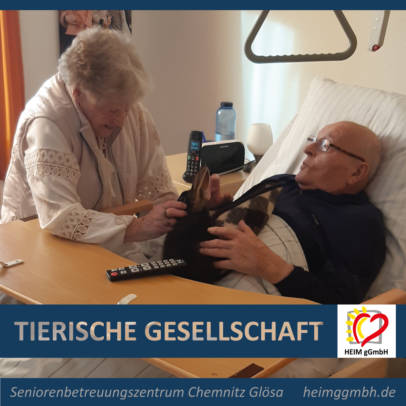 Tiereische Gesellschaft im Seniorenbetreuungszentrum Chemnitz Glösa der HEIKM gemeinnützigen GmbH - Gemeinsam. Sozial. Engagiert.