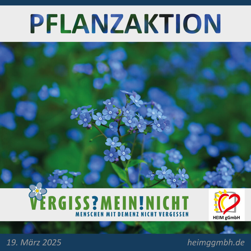 „VERGISS!MEIN!NICHT“ – Pflanzaktion gegen das Vergessenwerden - Die HEIM gGmbH nimmt mit meherern EInrichtungen daran teil.