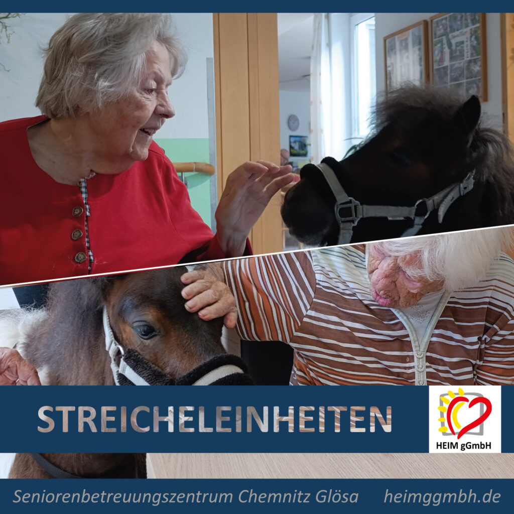 Streicheleinheiten in Glösa