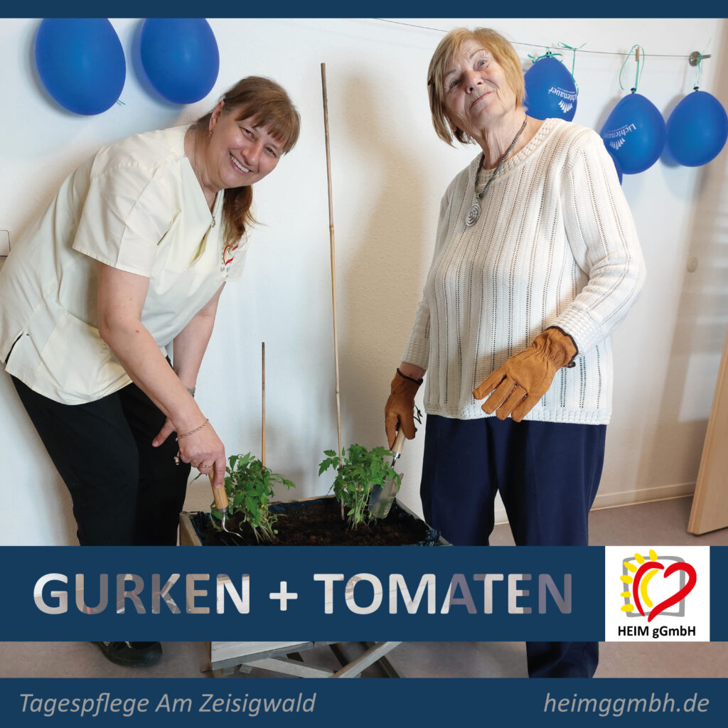 Pflanzaktion Gurken und Tomaten in der Tagespflege Am Zeisigwald