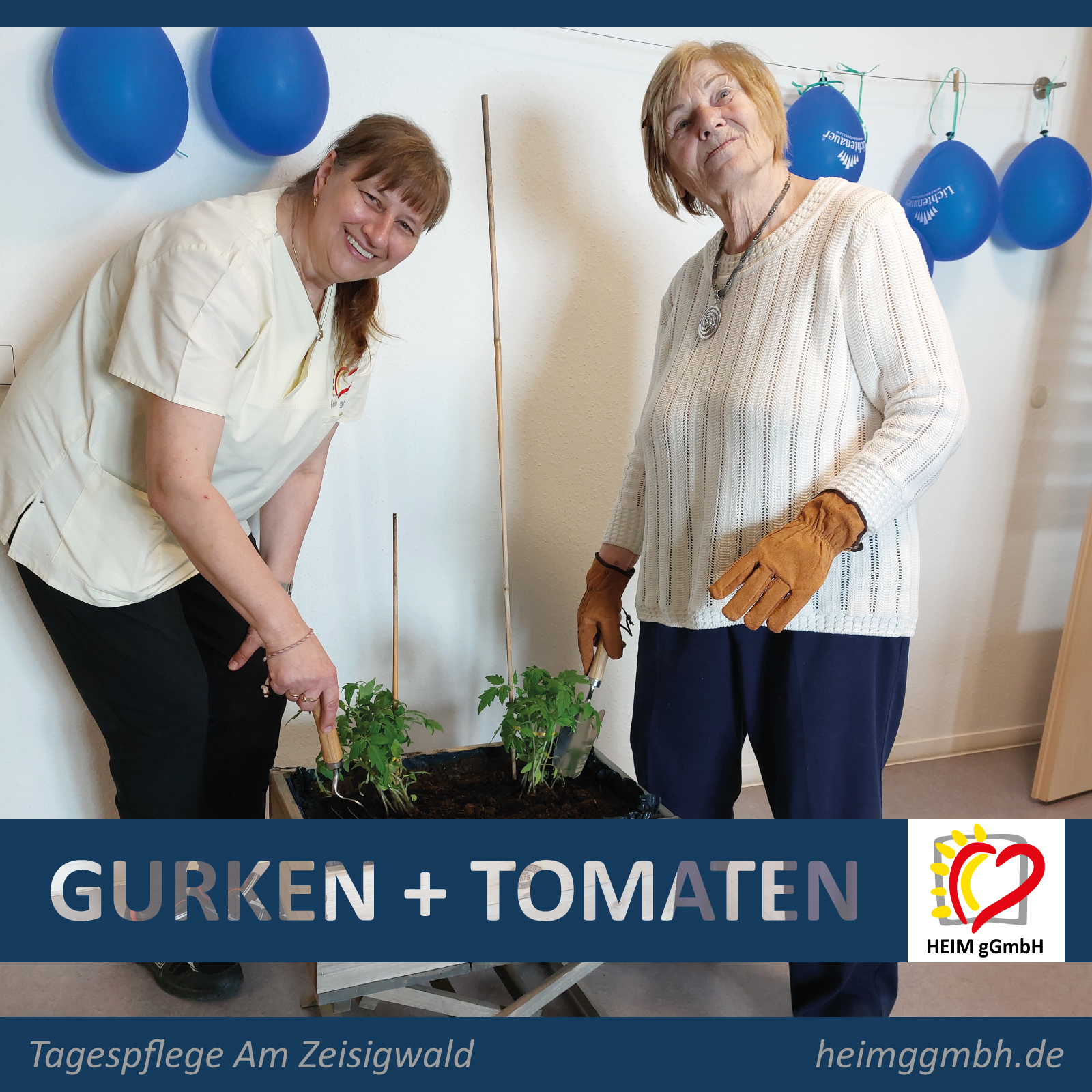 Pflanzaktion Gurken und Tomaten in der Tagespflege Am Zeisigwald der HEIM gGmbH - Gemeinsam. Sozial. Engagiert.
