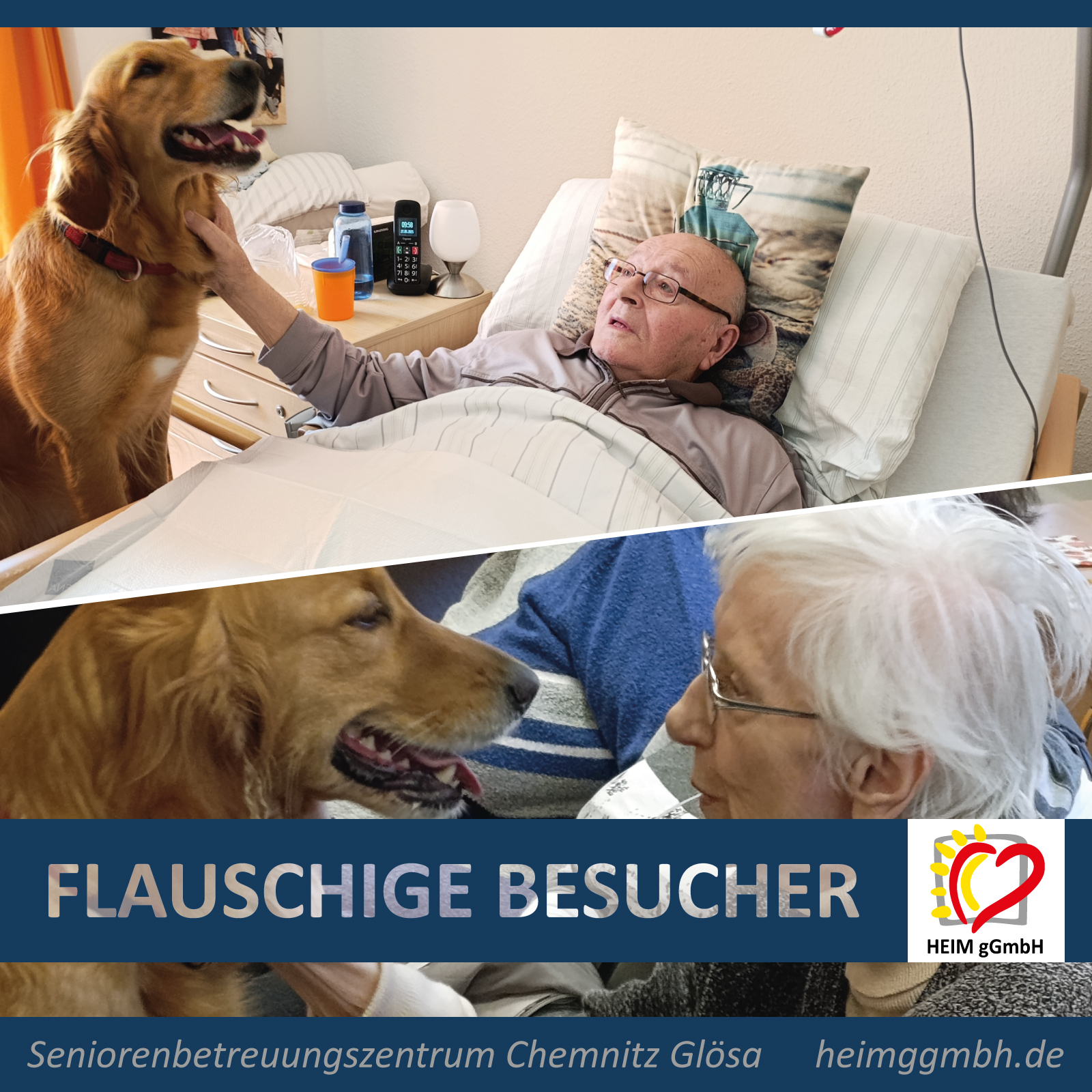 Flauschige Besucher im Seniorenbetreuungszentrum Chemnitz Glösa der HEIm gGmbH - Gemeinsam. Sozial. Engagiert.