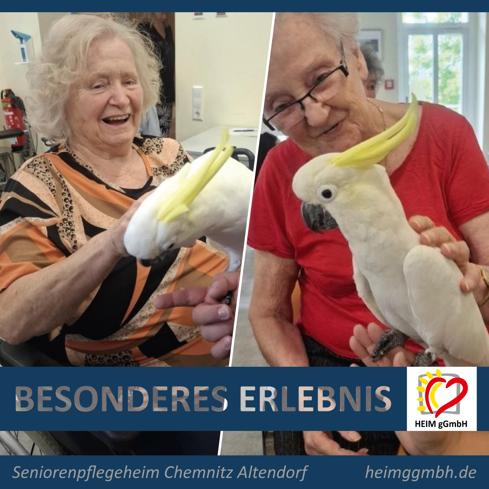 Lips mit ihren lustigen Kakadus zu Besuch im Seniorenpflegeheim Chemnitz Altendorf der HEIM gemeinnützigen GmbH