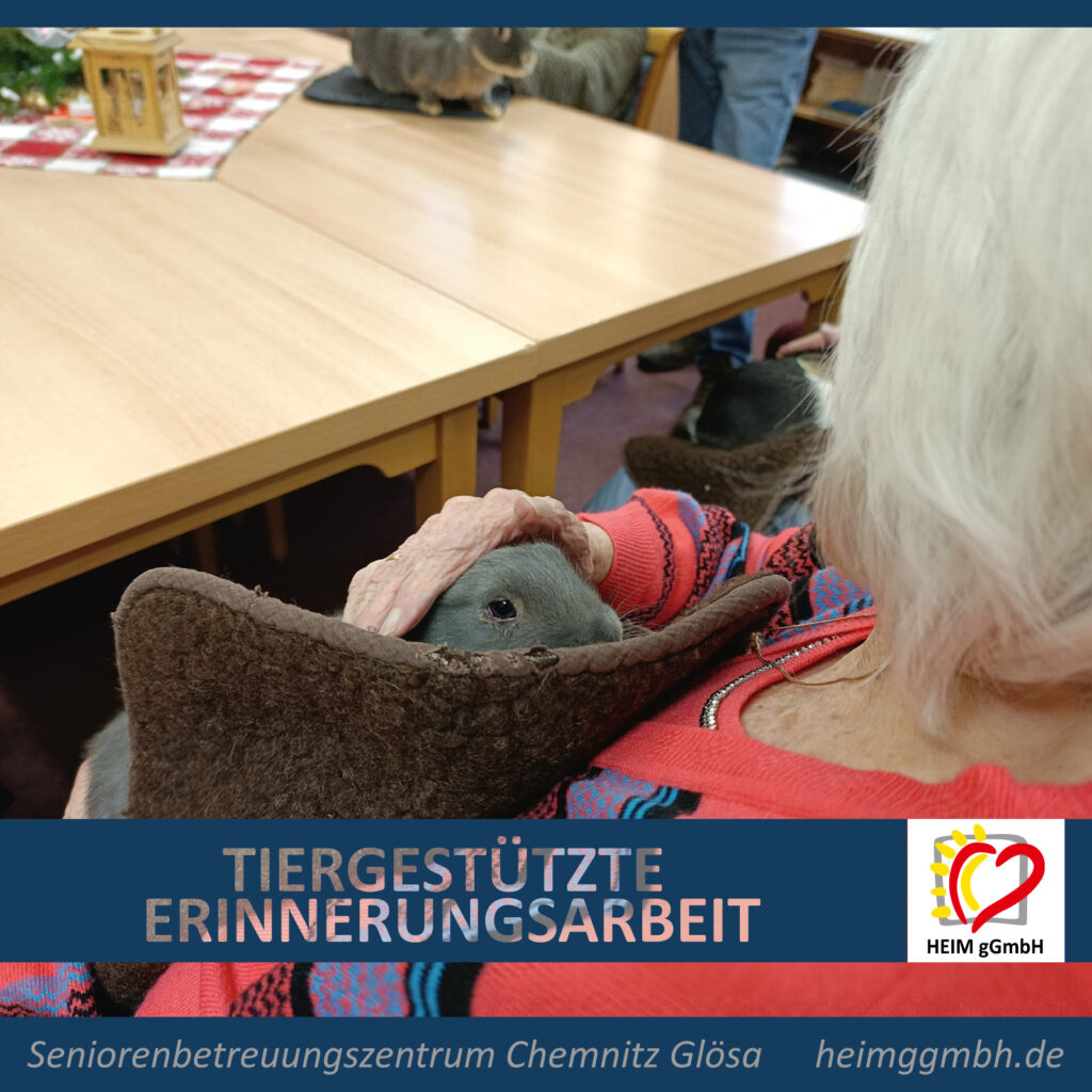 Hasenbesuch inklusive Streicheleinheiten: Tiergestützte Erinnerungsarbeit im Seniorenbetreuungszentrum Chemnitz Glösa der HEIM gGmbH