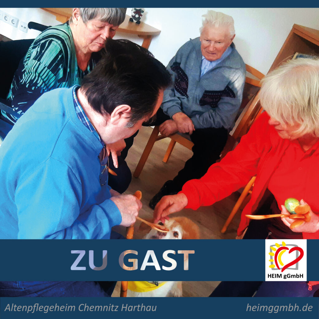 Tier-Highlight im Altenpflegeheim Harthau