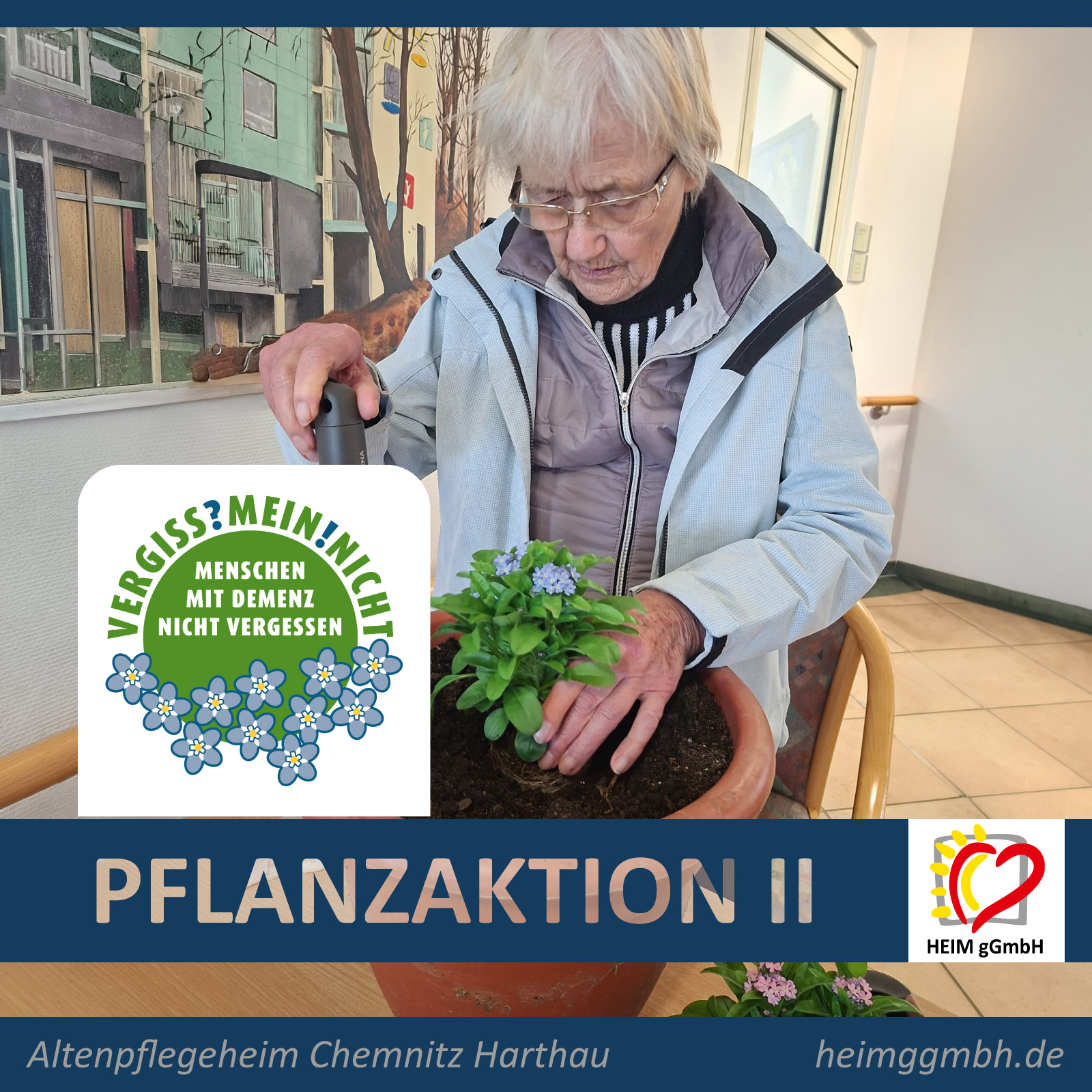 Rückblick auf die Pflanzaktion VERGISS!MEIN!NICHT II – Hier im Altenpflegeheim Harthau der HEIM gGmbH in Chemnitz