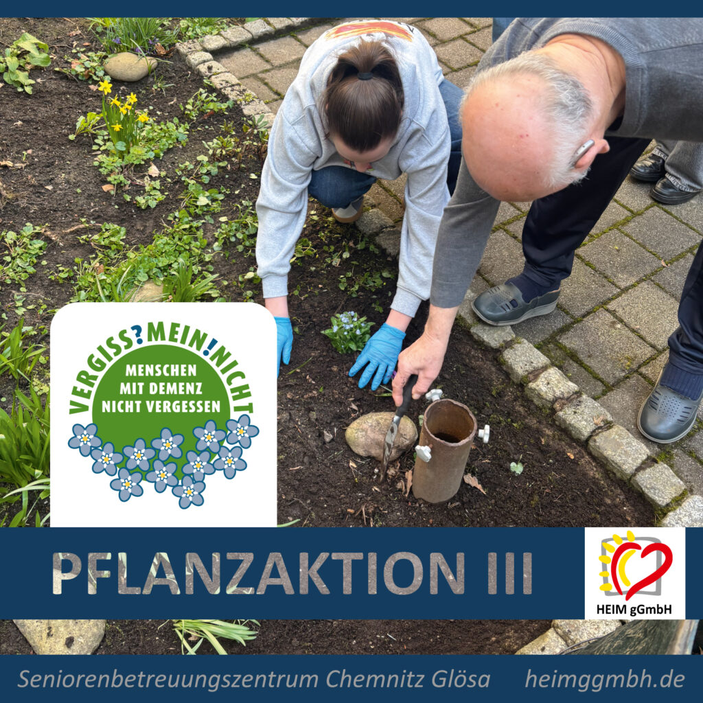 Rückblick Pflanzaktion VERGISS!MEIN!NICHT II – Seniorenbetreuungszentrum Glösa