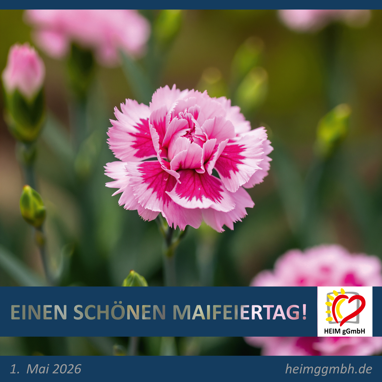 Maifeiertag - Die HEIM gGmbH aus Chemnitz wünscht allen Mitarbeitenden, Bewohnern, Gästen, Klienten, Freunden und Partnern erholsame Stunden