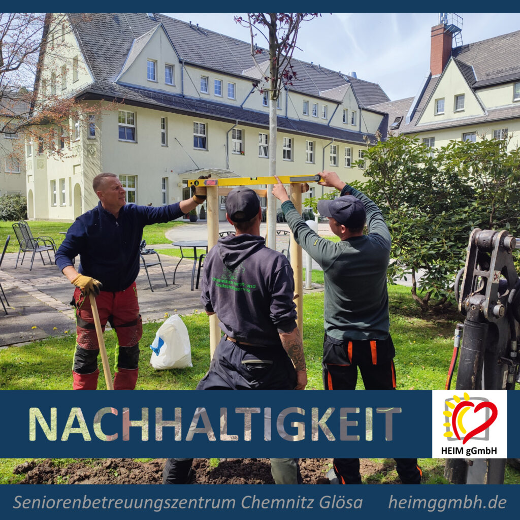 Neue Wurzeln für die Zukunft
