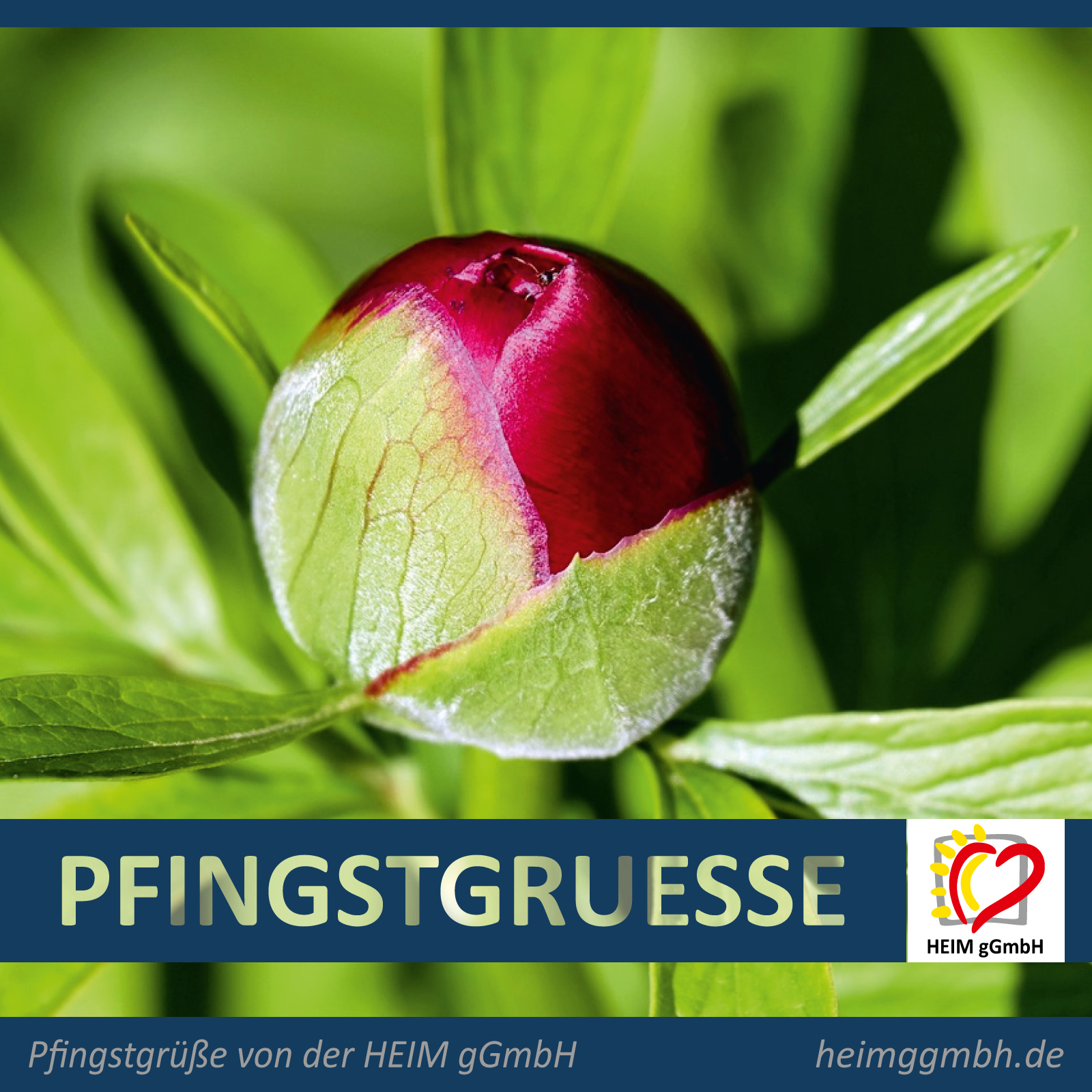 Pfingsten - Pfingtgrüße von der HEIM gGmbH in Chemnitz an alle Mitarbeitenden, Bewohner, Angehörige, Gäste, Klienten, Freunde und Partner