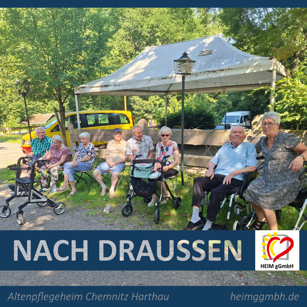 Ausflug unter schattigen Bäumen