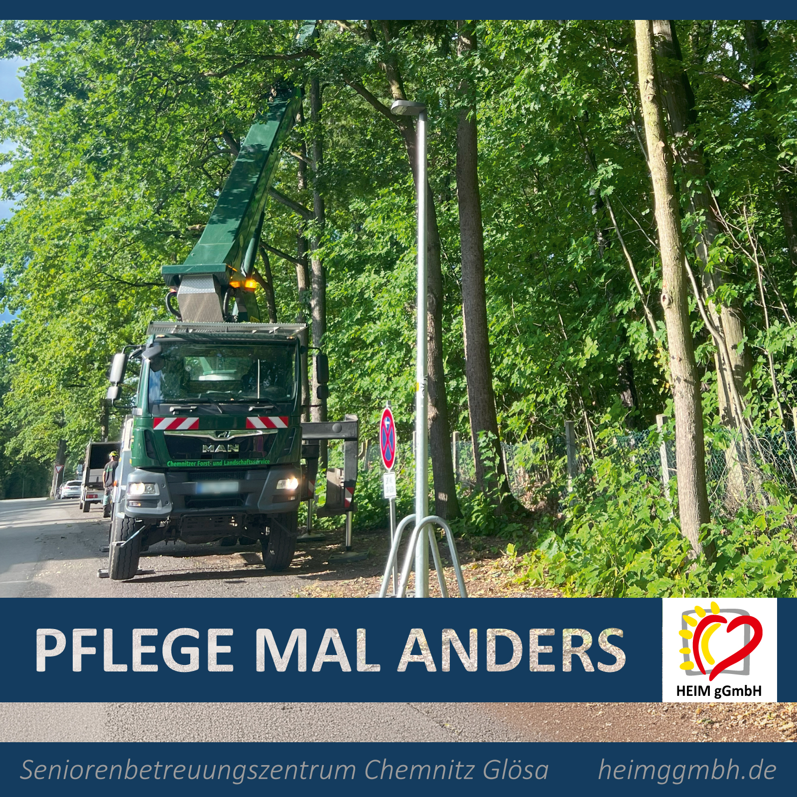 Pflege mal anders - baumpflegearbeiten in unserem Seniorenbetreuungszzentrum der HEIM gGmbH - Pflegeheim Altenpflegeheim in Chemnitz